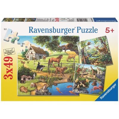 Spiel 4025.0