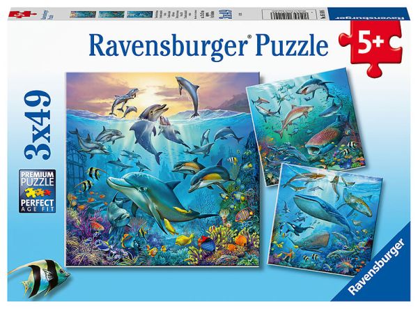 Spiel 4062.0