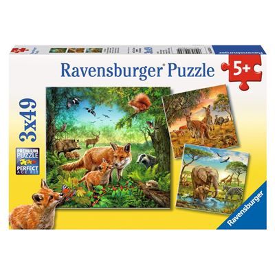 Spiel 4304.0